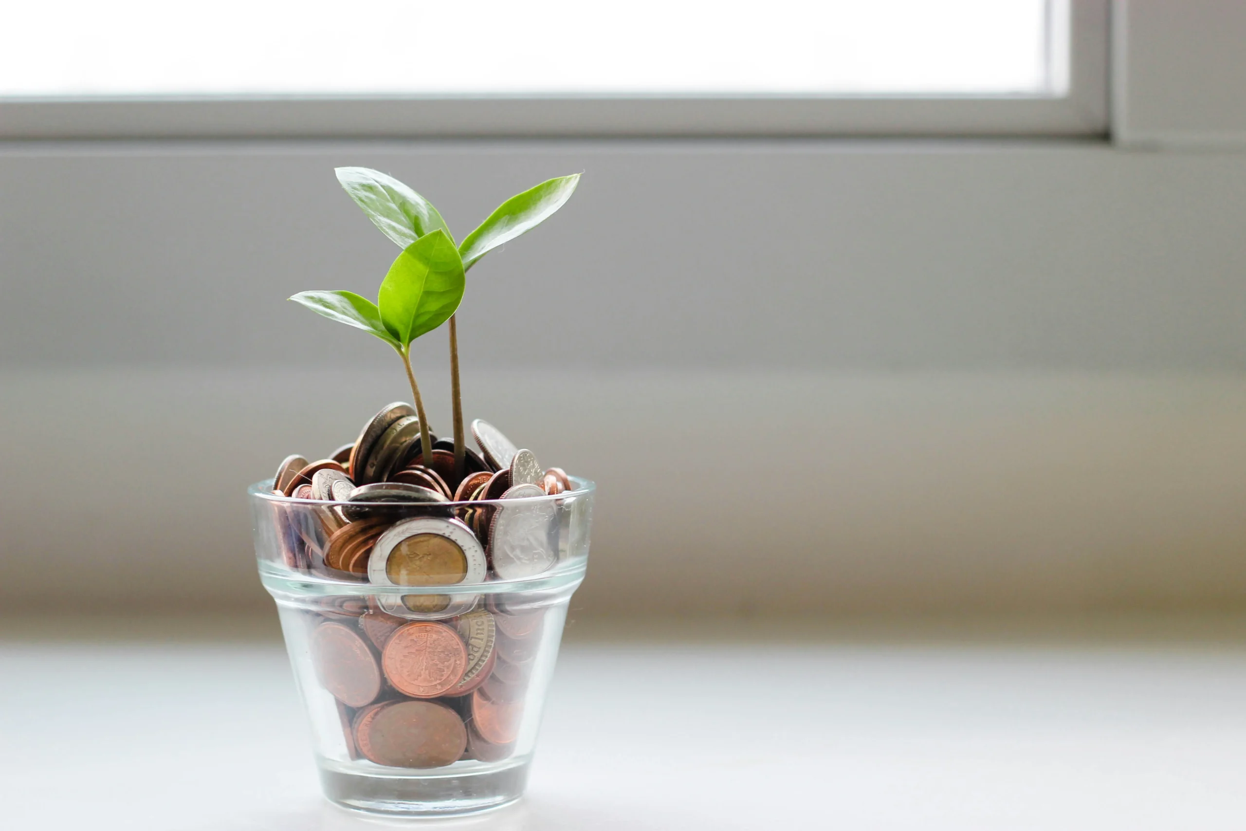 jar of coins holds a growing plant.